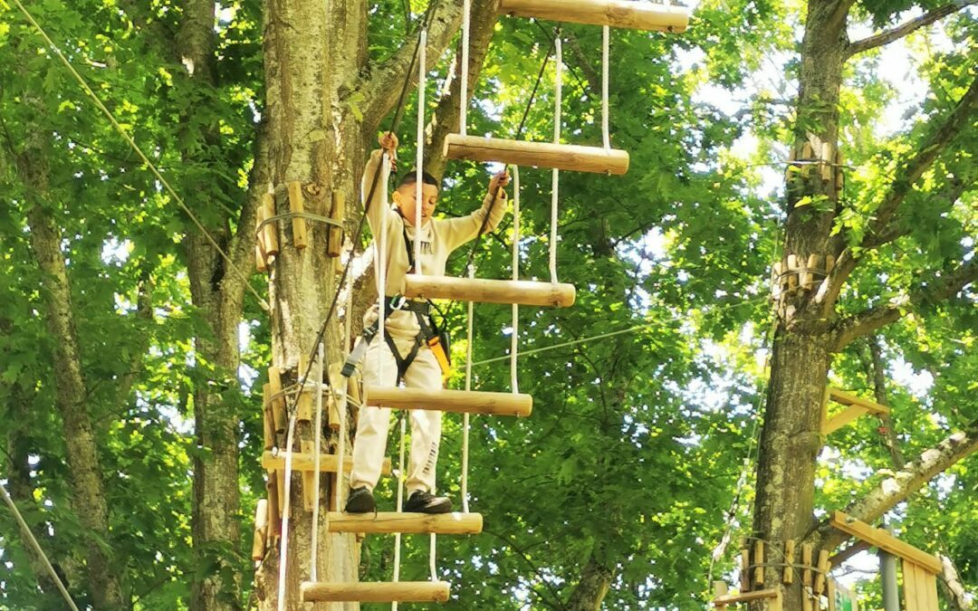 Sortie accrobranche pour les élèves de l’ULIS